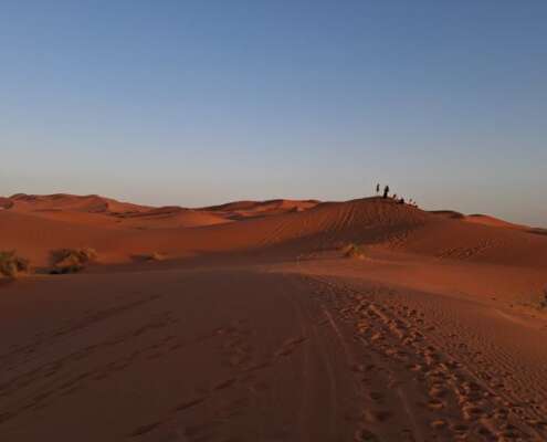 tour del marocco 705298490_1598850952249689_5896601754570529350_n