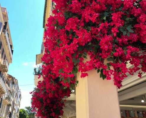 crociera di gruppo grecia e croazia costa deliziosa711737704_1607376691397115_4518833129518253838_n
