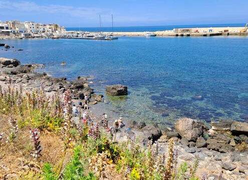 viaggio di gruppo egadi e sicilia719100160_1613521800782604_867361071478958783_n viaggio di gruppo egadi e sicilia