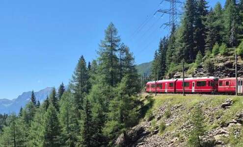 viaggio di gruppo trenino bernina