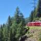 viaggio di gruppo trenino bernina