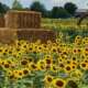 viaggio di gruppo treviso e villaggio girasoli