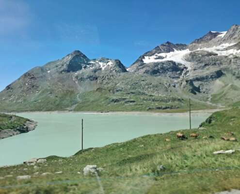 viaggio di gruppo trenino bernina744490760_998756419600848_5845468693414683096_n