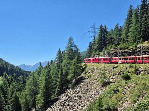 viaggio di gruppo trenino bernina746472336_1060606732976366_8119949249429605177_n