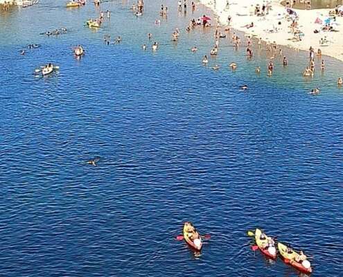 viaggio di gruppo ferragosto francia777024043_1416196587097356_4731151870997373558_n