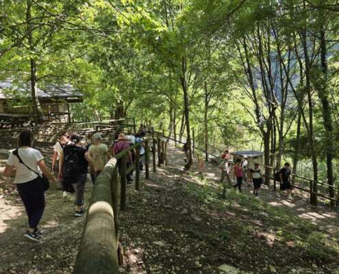 viaggio di gruppo parco cascate molina769175265_1545256220246997_4499780646861547079_n