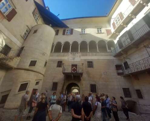 viaggio di gruppo trenino dei castelli783899161_866298373084232_4785139005548950315_n