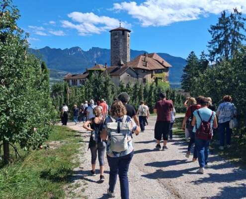 viaggio di gruppo trenino dei castelli786442465_2591775014587940_9013596874316513304_n