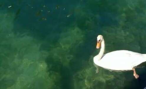 viaggio di gruppo limone sul garda, riva del garda, malcesine