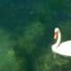 viaggio di gruppo limone sul garda, riva del garda, malcesine