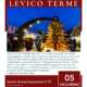 viaggi di gruppo-Mercatini di Natale di Trento e Levico Terme- i viaggi di lara