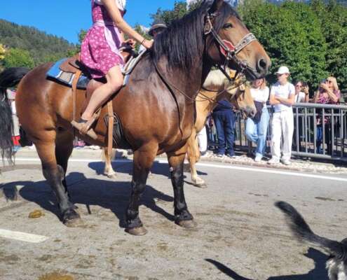 viaggio di gruppo desmontegada 825279000_1853189269195216_1120714860672645558_n