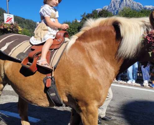 viaggio di gruppo desmontegada 825292356_2166602273925388_1298789811451904034_n