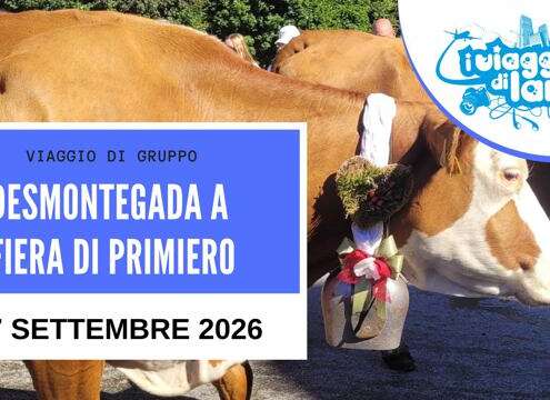 viaggio di gruppo desmontegada 828606550_1839488900812227_5426270431005205820_n