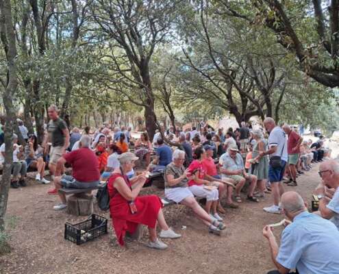 viaggio di gruppo sardegna825267982_2557074124761171_7547613984326254124_n