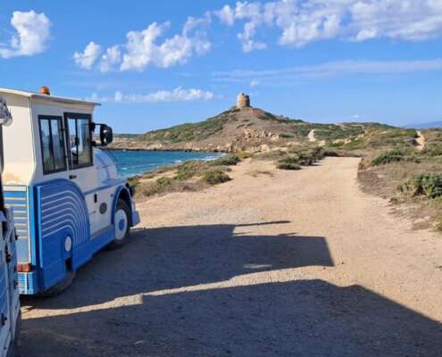 viaggio di gruppo sardegna827513517_4418657025074627_9041240824668170425_n