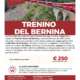 Viaggi di gruppo-Trenino del Bernina 2 giorni 2 aprile- i viaggi di lara