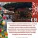 viaggio di gruppo mercatini natale lucca