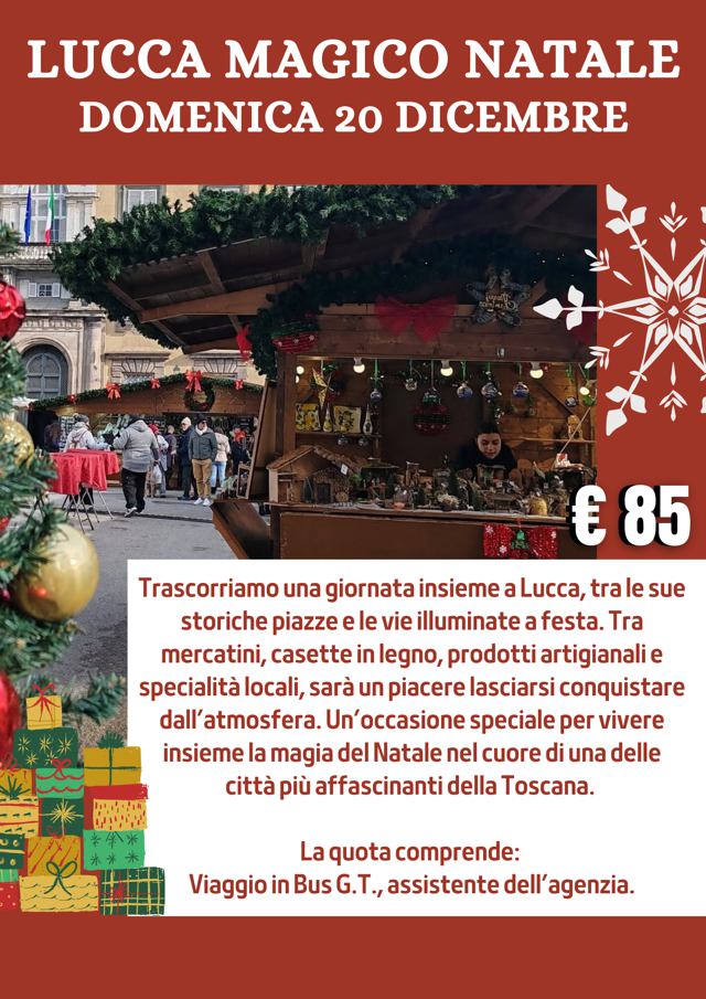 viaggio di gruppo mercatini natale asti e govone