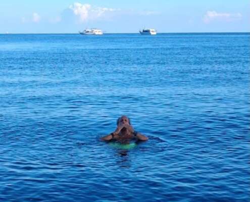 viaggio di gruppo alle eolie831765864_1732196668915116_6499915291834380301_n