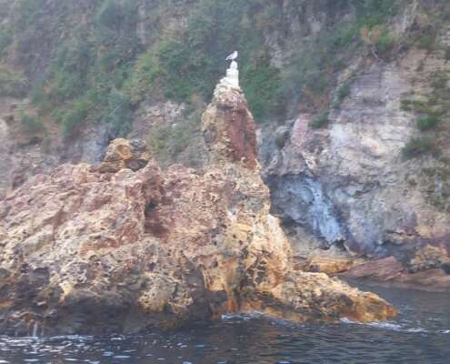 viaggio di gruppo alle eolie832682210_1732195545581895_6753487784166454871_n
