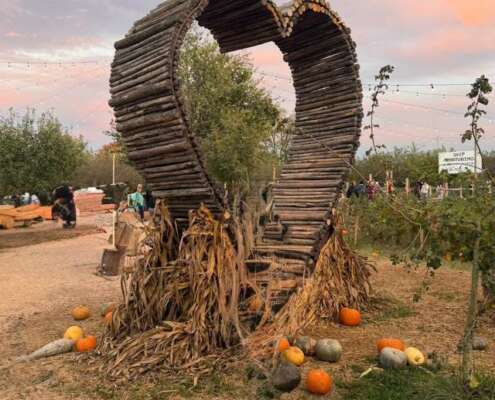 viaggio di gruppo navigazione sile e villaggio zucche870076717_1441980467340831_6124287475218150637_n