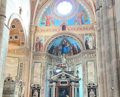 viaggio di gruppo pavia e certosa834526341_28174847205547608_6249351914898423910_n